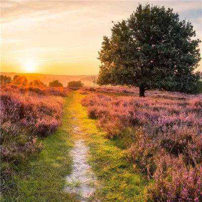 幸运彩票下载手机版