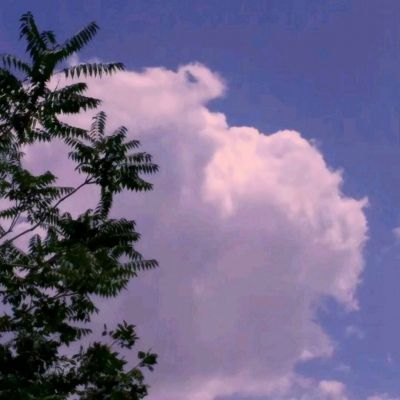 爱游戏·官方网站