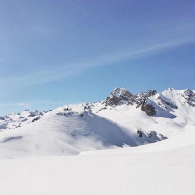 乐鱼app登录入口手机app下载截图